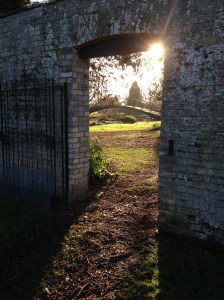 View to the Lake, Chippenham Park