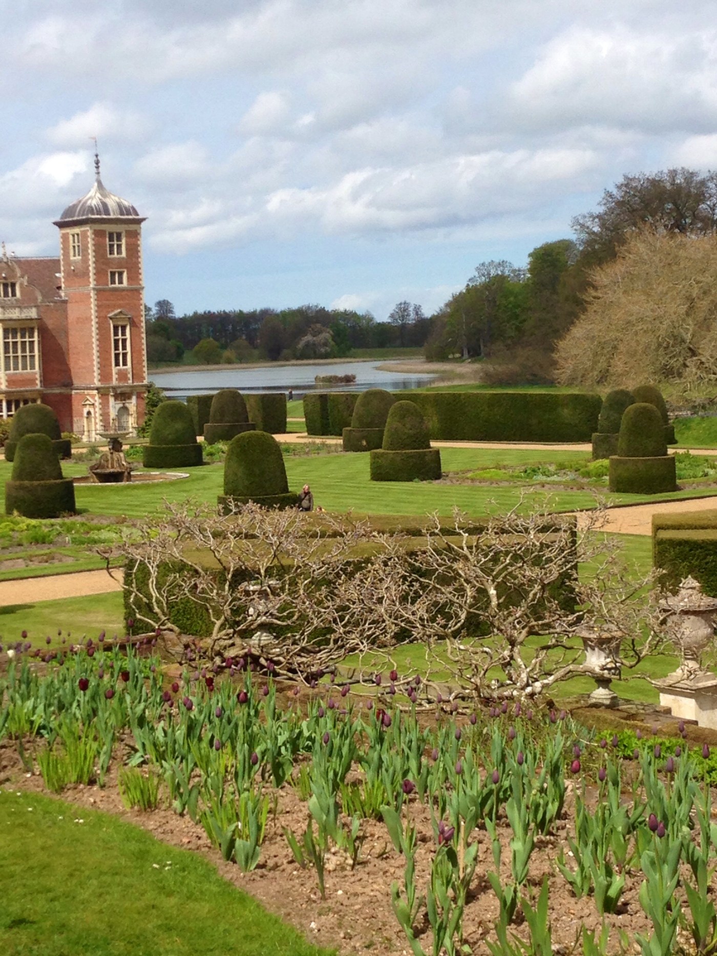 Topiary garden at Blickling Hall, Norfolk