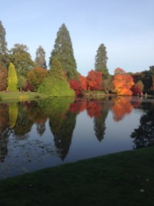 autumn colour at Sheffield Park