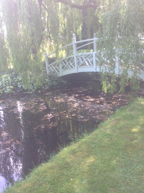 Monet style bridge