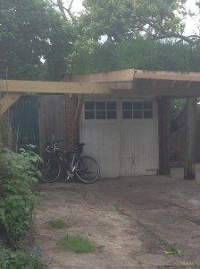 A meadow on the roof!
