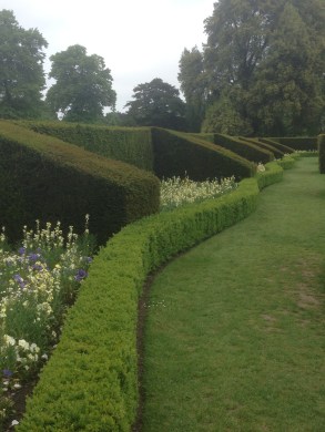 Yew and box contain bedding at Hall Place, Kent