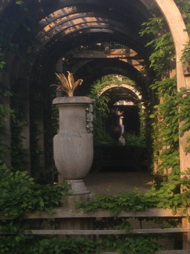 Hornbeam pergola in Collector Earl's Garden