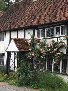 Shere cottage