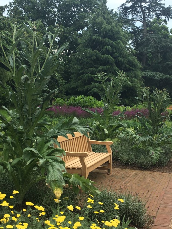 Wooden bench at Kew Gardens