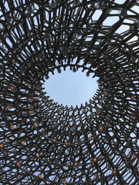 The Hive at Kew Gardens
