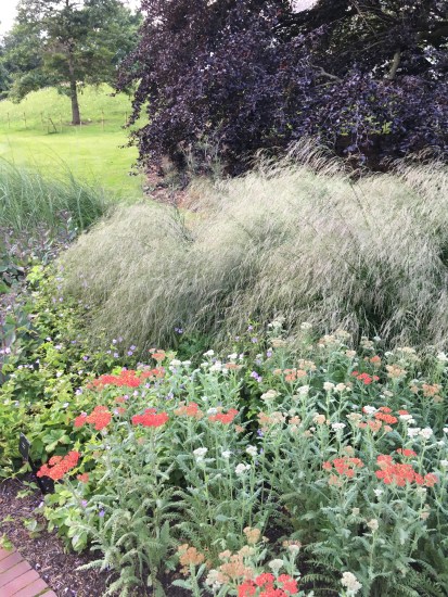Textured planting at Kew
