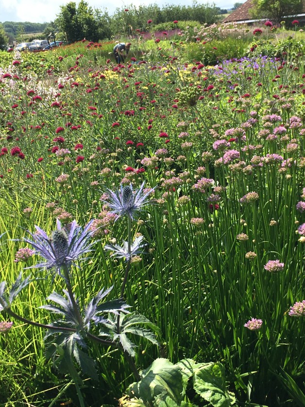 A tapestry of colour and texture at Hauser and Wirth garden