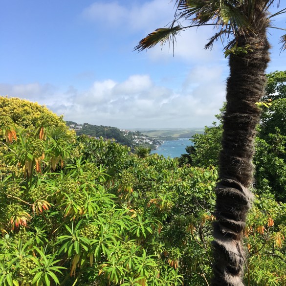 Mediterranean planting in English Garden