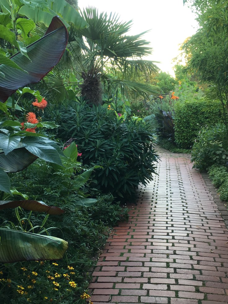 brick path and tropical planting