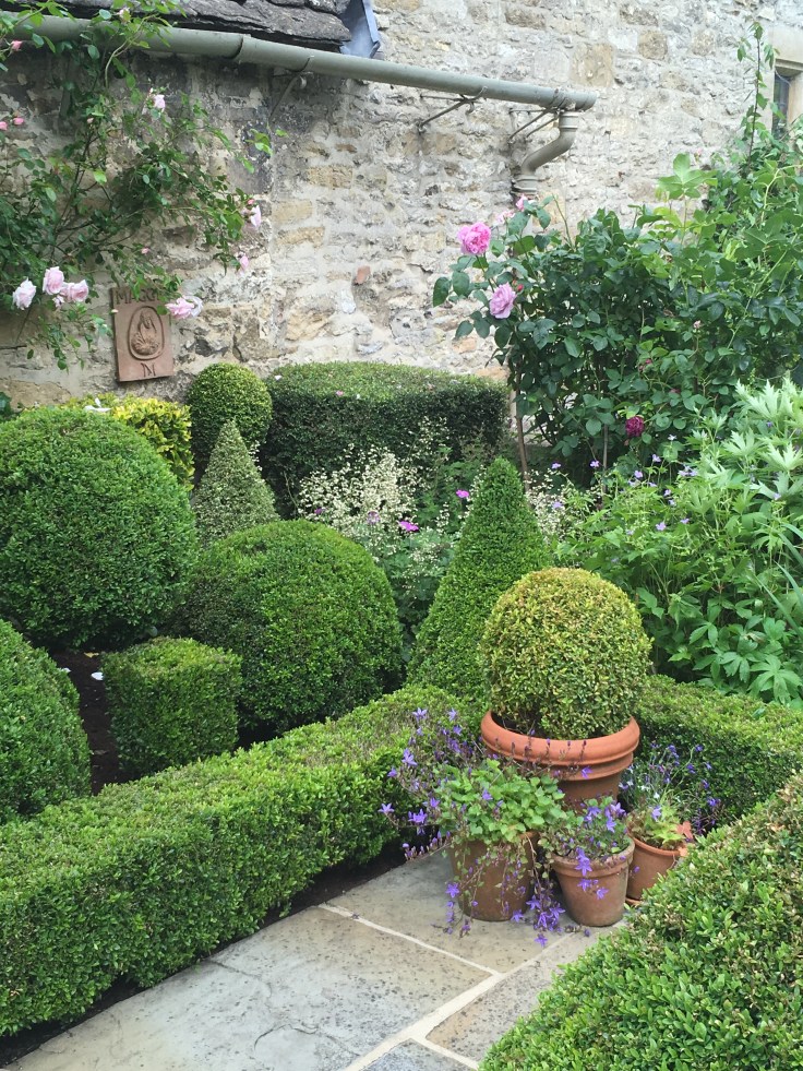 topiary in small garden with pots