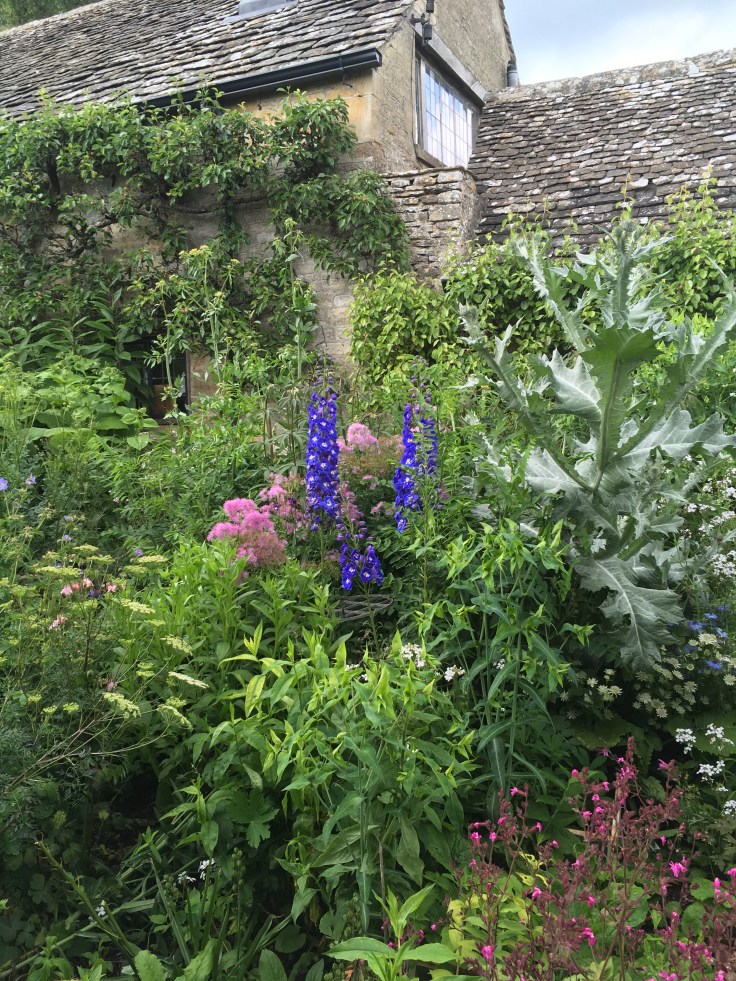 densely packed border with delphiniums