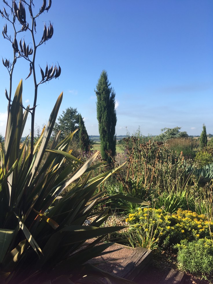 The Dry Garden at Hyde Hall