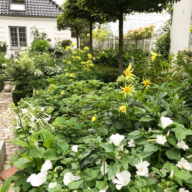 Yellow planting by Claus Dalby
