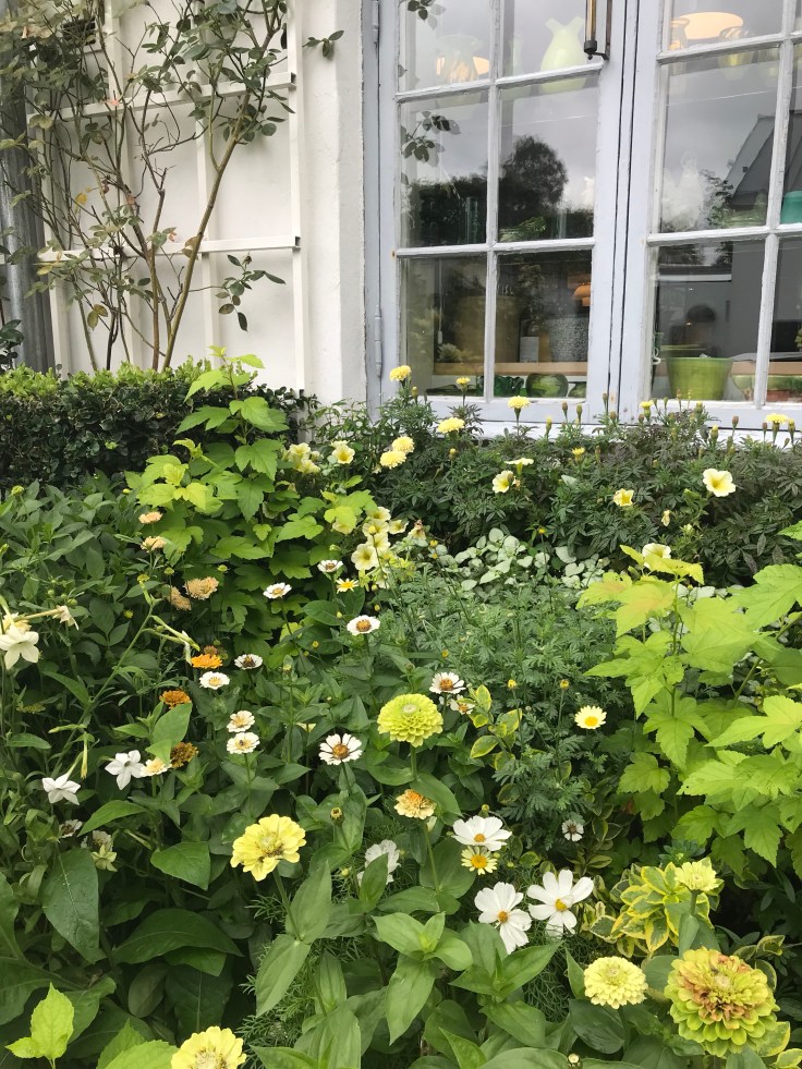 Yellow planting by Claus Dalby