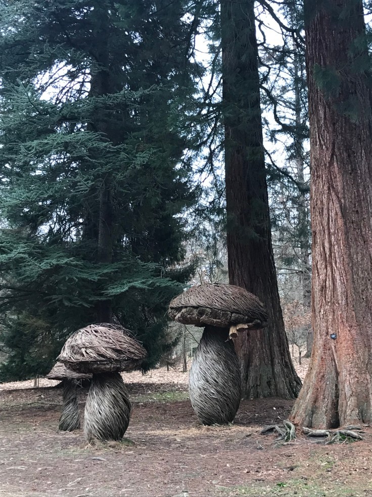 Willow sculptures beside the redwood trees