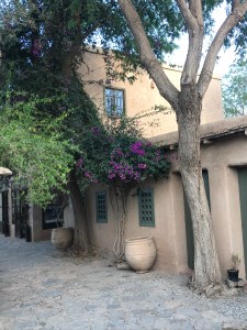 Bouganvillea at the entrance to Dar al Hossoun